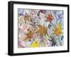 Autumn Colours-Margaret Coxall-Framed Giclee Print