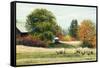 Autumn Colours-Kevin Dodds-Framed Stretched Canvas