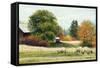 Autumn Colours-Kevin Dodds-Framed Stretched Canvas