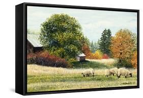 Autumn Colours-Kevin Dodds-Framed Stretched Canvas