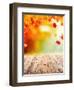 Autumn Concept with Empty Wooden Planks and falling Leaves-Jag_cz-Framed Photographic Print