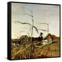 "Autumn Cornfield,"October 1, 1950-Andrew Wyeth-Framed Stretched Canvas