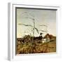 "Autumn Cornfield,"October 1, 1950-Andrew Wyeth-Framed Premium Giclee Print