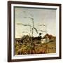 "Autumn Cornfield,"October 1, 1950-Andrew Wyeth-Framed Giclee Print