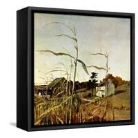 "Autumn Cornfield,"October 1, 1950-Andrew Wyeth-Framed Stretched Canvas