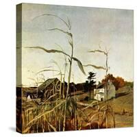 "Autumn Cornfield,"October 1, 1950-Andrew Wyeth-Stretched Canvas