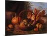 Autumn Cornucopia-Kevin Spaulding-Mounted Giclee Print