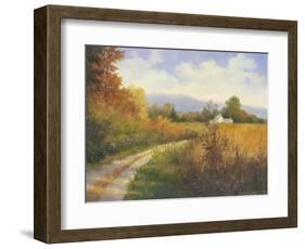 Autumn Country Road-Mary Jean Weber-Framed Art Print