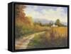 Autumn Country Road-Mary Jean Weber-Framed Stretched Canvas