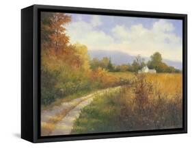 Autumn Country Road-Mary Jean Weber-Framed Stretched Canvas