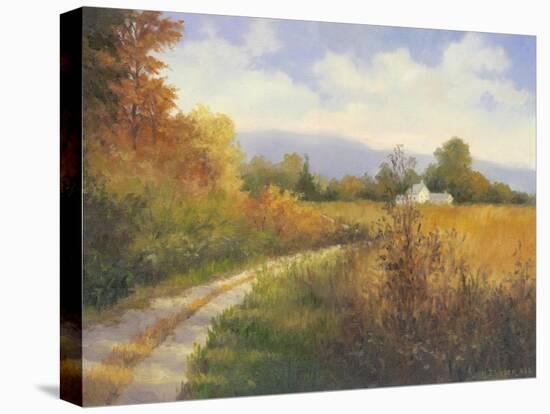 Autumn Country Road-Mary Jean Weber-Stretched Canvas