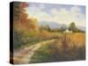 Autumn Country Road-Mary Jean Weber-Stretched Canvas