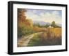 Autumn Country Road-Mary Jean Weber-Framed Art Print