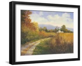 Autumn Country Road-Mary Jean Weber-Framed Art Print