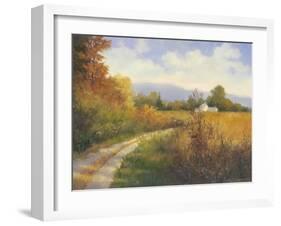 Autumn Country Road-Mary Jean Weber-Framed Art Print
