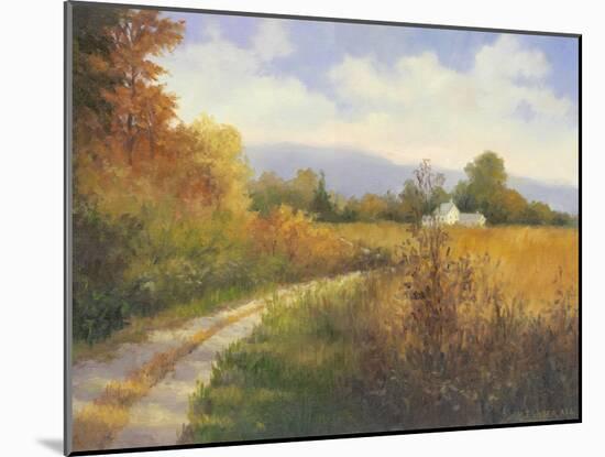 Autumn Country Road-Mary Jean Weber-Mounted Art Print