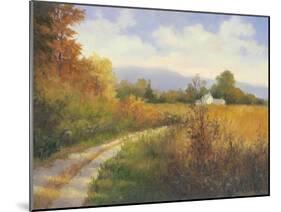 Autumn Country Road-Mary Jean Weber-Mounted Art Print