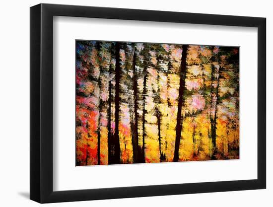 Autumn Courtain-Ursula Abresch-Framed Photographic Print