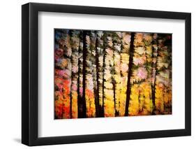 Autumn Courtain-Ursula Abresch-Framed Photographic Print