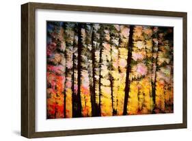 Autumn Courtain-Ursula Abresch-Framed Photographic Print