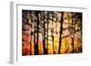 Autumn Courtain-Ursula Abresch-Framed Photographic Print