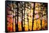 Autumn Courtain-Ursula Abresch-Framed Stretched Canvas