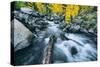 Autumn Creek, Bishop Canyone, Eastern Sierra Mountains, California-Vincent James-Stretched Canvas