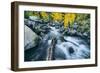 Autumn Creek, Bishop Canyone, Eastern Sierra Mountains, California-Vincent James-Framed Photographic Print