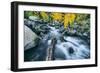 Autumn Creek, Bishop Canyone, Eastern Sierra Mountains, California-Vincent James-Framed Photographic Print