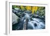 Autumn Creek, Bishop Canyone, Eastern Sierra Mountains, California-Vincent James-Framed Photographic Print