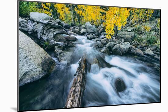 Autumn Creek, Bishop Canyone, Eastern Sierra Mountains, California-Vincent James-Mounted Photographic Print