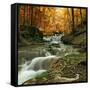 Autumn Creek Woods with Yellow Trees Foliage and Rocks in Forest Mountain.-Irochka-Framed Stretched Canvas