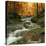 Autumn Creek Woods with Yellow Trees Foliage and Rocks in Forest Mountain.-Irochka-Stretched Canvas