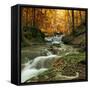 Autumn Creek Woods with Yellow Trees Foliage and Rocks in Forest Mountain.-Irochka-Framed Stretched Canvas