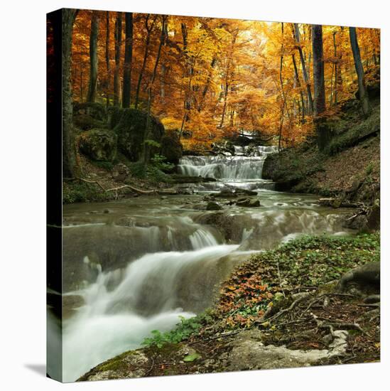 Autumn Creek Woods with Yellow Trees Foliage and Rocks in Forest Mountain.-Irochka-Stretched Canvas