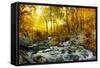 Autumn Creek Woods with Yellow Trees Foliage and Rocks in Forest Mountain.-Irochka-Framed Stretched Canvas