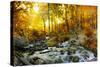 Autumn Creek Woods with Yellow Trees Foliage and Rocks in Forest Mountain.-Irochka-Stretched Canvas