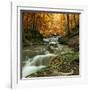 Autumn Creek Woods with Yellow Trees Foliage and Rocks in Forest Mountain.-Irochka-Framed Photographic Print