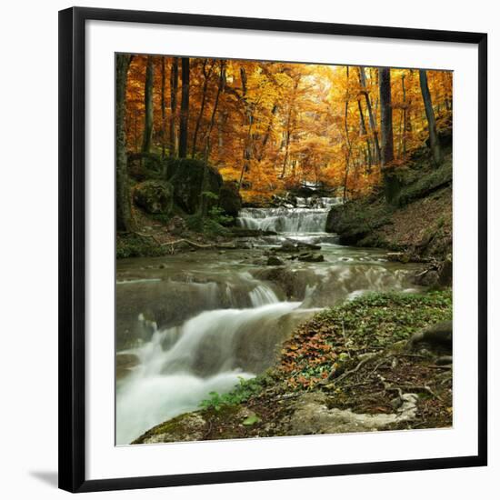 Autumn Creek Woods with Yellow Trees Foliage and Rocks in Forest Mountain.-Irochka-Framed Photographic Print