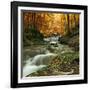 Autumn Creek Woods with Yellow Trees Foliage and Rocks in Forest Mountain.-Irochka-Framed Photographic Print