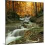 Autumn Creek Woods with Yellow Trees Foliage and Rocks in Forest Mountain.-Irochka-Mounted Photographic Print