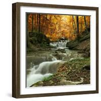 Autumn Creek Woods with Yellow Trees Foliage and Rocks in Forest Mountain.-Irochka-Framed Photographic Print