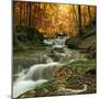 Autumn Creek Woods with Yellow Trees Foliage and Rocks in Forest Mountain.-Irochka-Mounted Photographic Print