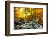 Autumn Creek Woods with Yellow Trees Foliage and Rocks in Forest Mountain.-Irochka-Framed Photographic Print