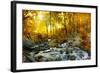 Autumn Creek Woods with Yellow Trees Foliage and Rocks in Forest Mountain.-Irochka-Framed Photographic Print