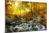 Autumn Creek Woods with Yellow Trees Foliage and Rocks in Forest Mountain.-Irochka-Mounted Photographic Print