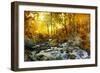 Autumn Creek Woods with Yellow Trees Foliage and Rocks in Forest Mountain.-Irochka-Framed Photographic Print