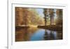 Autumn Creek-Diane Romanello-Framed Art Print