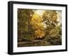 Autumn Creek-Jessica Jenney-Framed Giclee Print