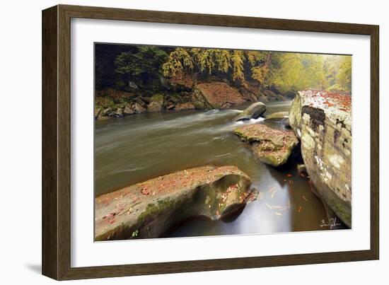 Autumn Creek-5fishcreative-Framed Giclee Print